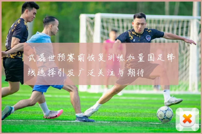武磊世预赛前恢复训练加量国足锋线选择引发广泛关注与期待