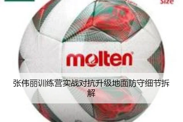 张伟丽训练营实战对抗升级地面防守细节拆解（hth.conapp）